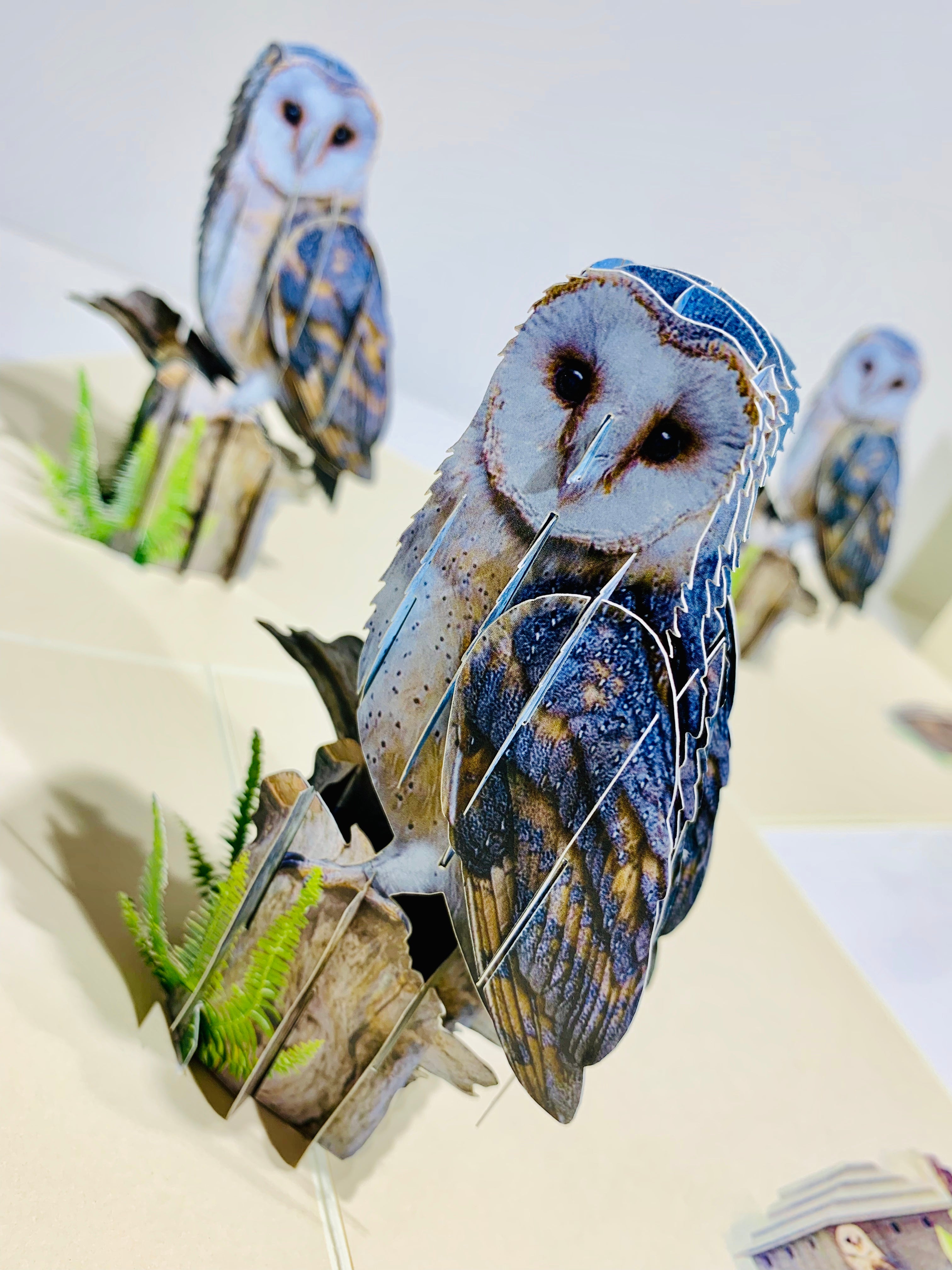 Barn Owl Bird Origami Pop Cards 3D Pop Up Greeting Card Happy Birthday Thank You Handmade Gift Thinking of You Blank Card for Any Occasion Happy Mother's Day Happy Father's Australiana Birds