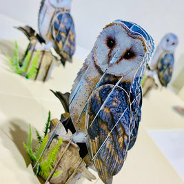 Barn Owl Bird Origami Pop Cards 3D Pop Up Greeting Card Happy Birthday Thank You Handmade Gift Thinking of You Blank Card for Any Occasion Happy Mother's Day Happy Father's Australiana Birds