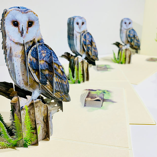 Barn Owl Bird Origami Pop Cards 3D Pop Up Greeting Card Happy Birthday Thank You Handmade Gift Thinking of You Blank Card for Any Occasion Happy Mother's Day Happy Father's Australiana Birds