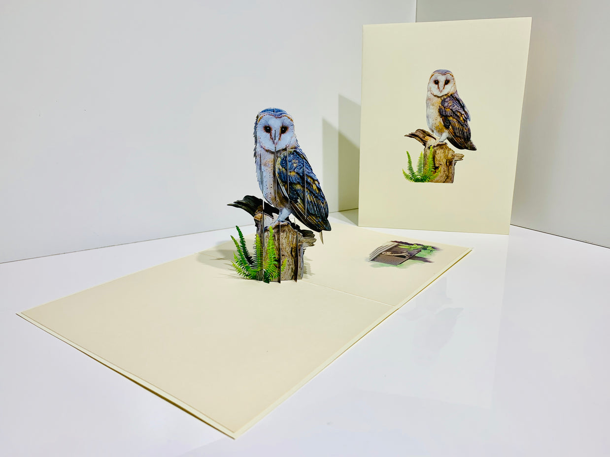 Barn Owl Bird Origami Pop Cards 3D Pop Up Greeting Card Happy Birthday Thank You Handmade Gift Thinking of You Blank Card for Any Occasion Happy Mother's Day Happy Father's Australiana Birds