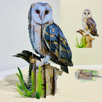 Barn Owl Bird Origami Pop Cards 3D Pop Up Greeting Card Happy Birthday Thank You Handmade Gift Thinking of You Blank Card for Any Occasion Happy Mother's Day Happy Father's Australiana Birds