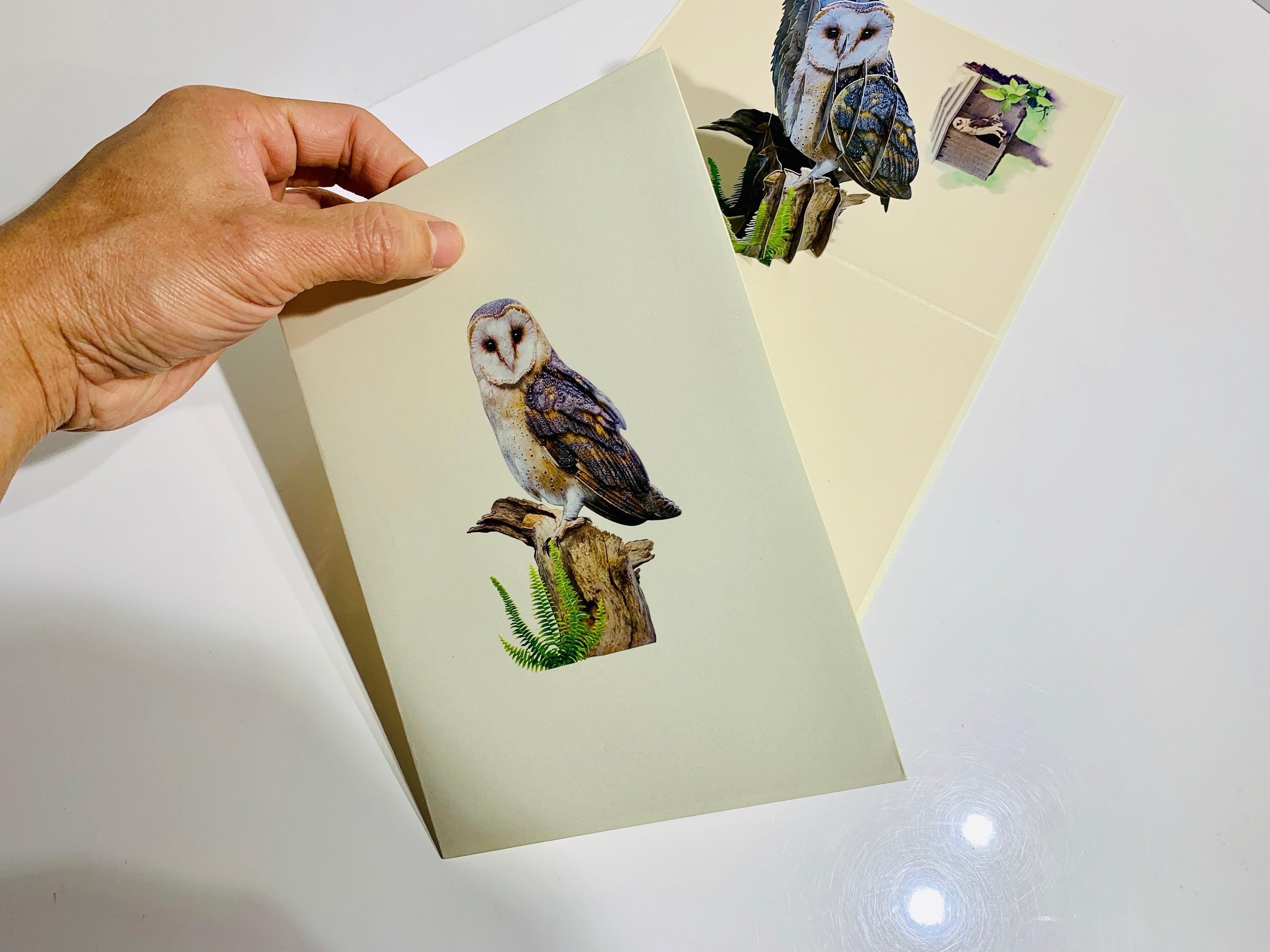 Barn Owl Bird Origami Pop Cards 3D Pop Up Greeting Card Happy Birthday Thank You Handmade Gift Thinking of You Blank Card for Any Occasion Happy Mother's Day Happy Father's Australiana Birds
