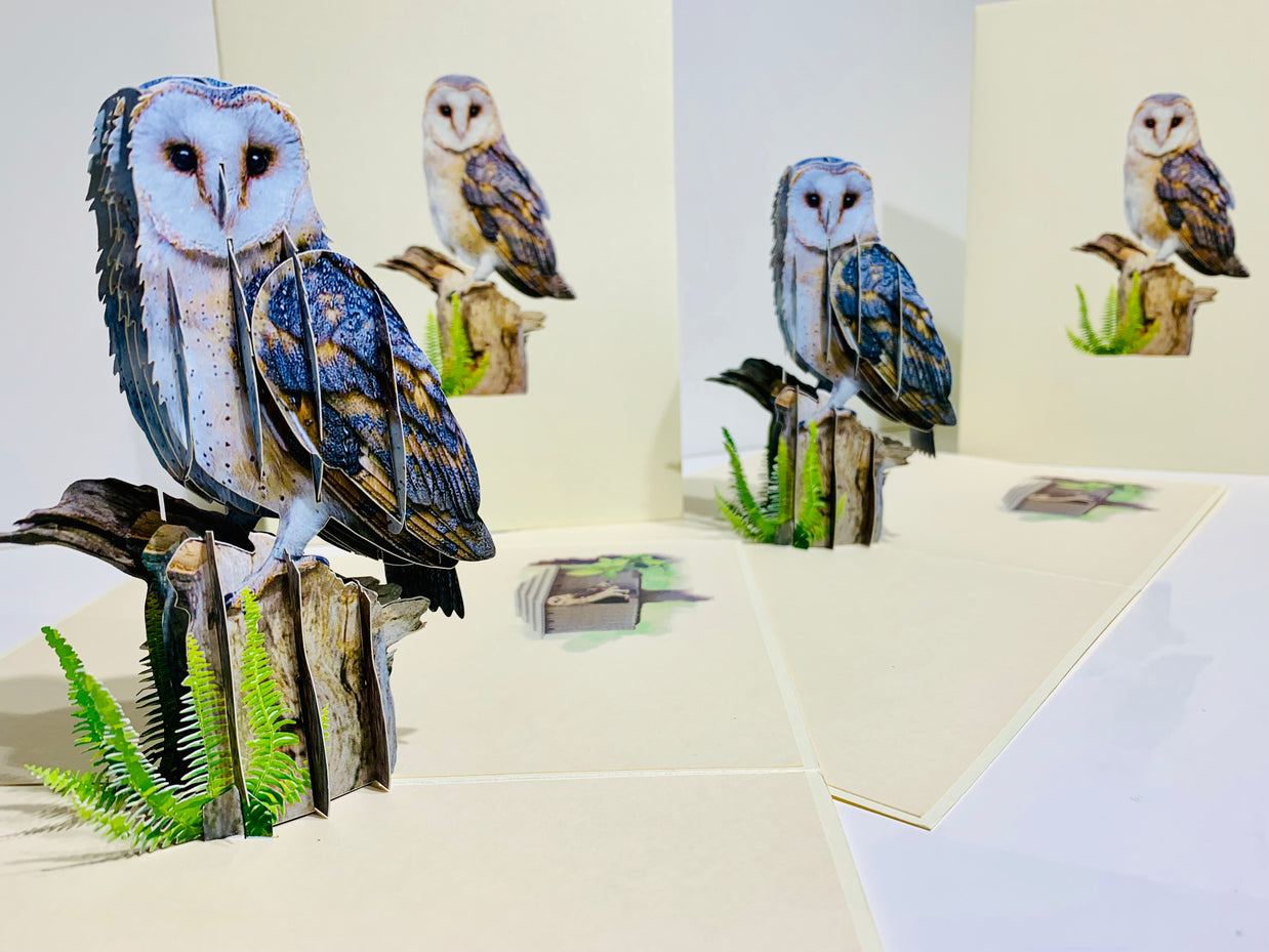 Barn Owl Bird Origami Pop Cards 3D Pop Up Greeting Card Happy Birthday Thank You Handmade Gift Thinking of You Blank Card for Any Occasion Happy Mother's Day Happy Father's Australiana Birds