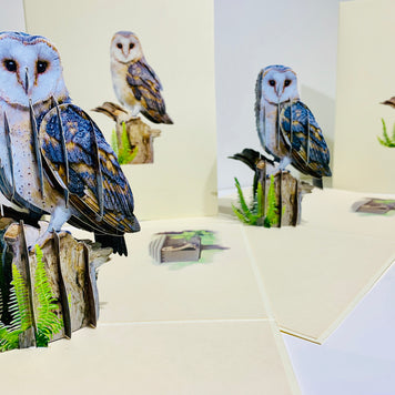 Barn Owl Bird Origami Pop Cards 3D Pop Up Greeting Card Happy Birthday Thank You Handmade Gift Thinking of You Blank Card for Any Occasion Happy Mother's Day Happy Father's Australiana Birds