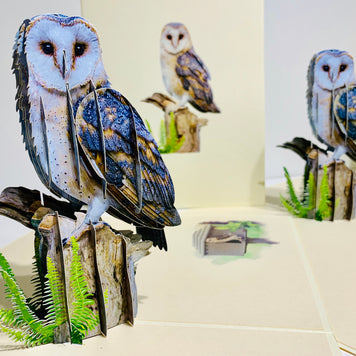 Barn Owl Bird Origami Pop Cards 3D Pop Up Greeting Card Happy Birthday Thank You Handmade Gift Thinking of You Blank Card for Any Occasion Happy Mother's Day Happy Father's Australiana Birds