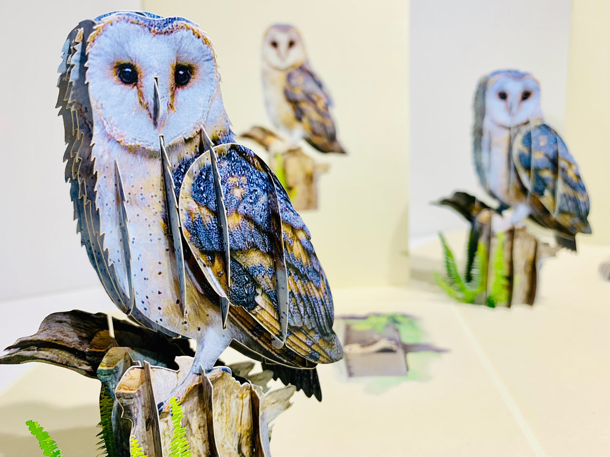 Barn Owl Bird Origami Pop Cards 3D Pop Up Greeting Card Happy Birthday Thank You Handmade Gift Thinking of You Blank Card for Any Occasion Happy Mother's Day Happy Father's Australiana Birds
