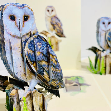 Barn Owl Bird Origami Pop Cards 3D Pop Up Greeting Card Happy Birthday Thank You Handmade Gift Thinking of You Blank Card for Any Occasion Happy Mother's Day Happy Father's Australiana Birds