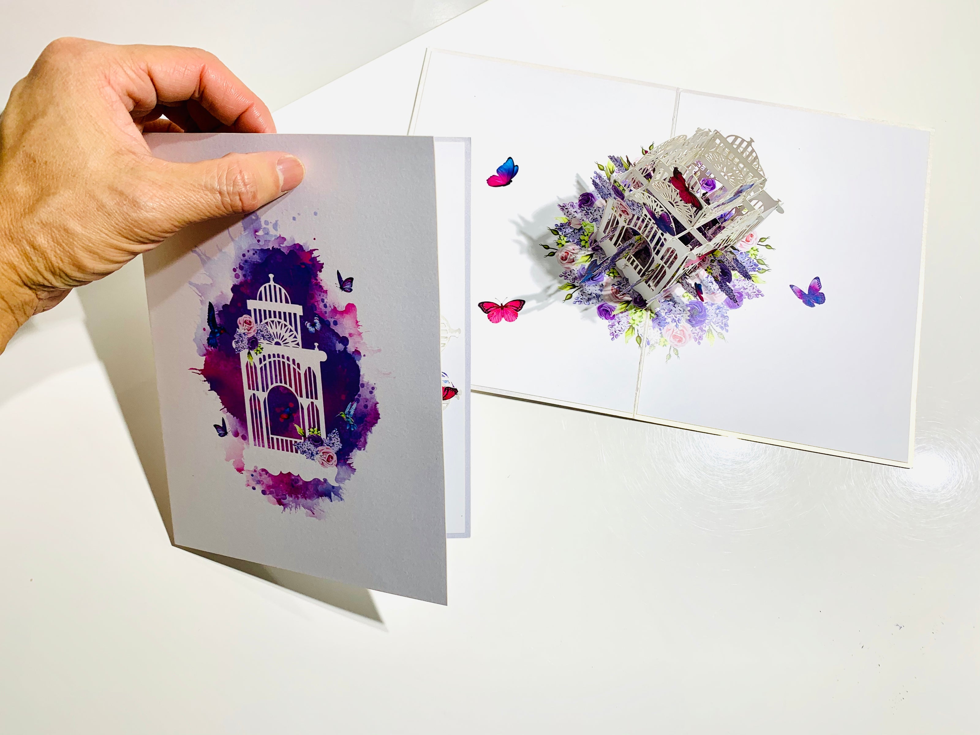 Hummingbird hovering the Bird Cage with Butterflies Origami Pop Cards 3D Pop Up Greeting Card Celebrate Happy Birthday Thank You Handmade Best Wishes Gift Thinking of You Blank Card for Any Occasion Happy Mother's Day Happy Father's Day Australiana