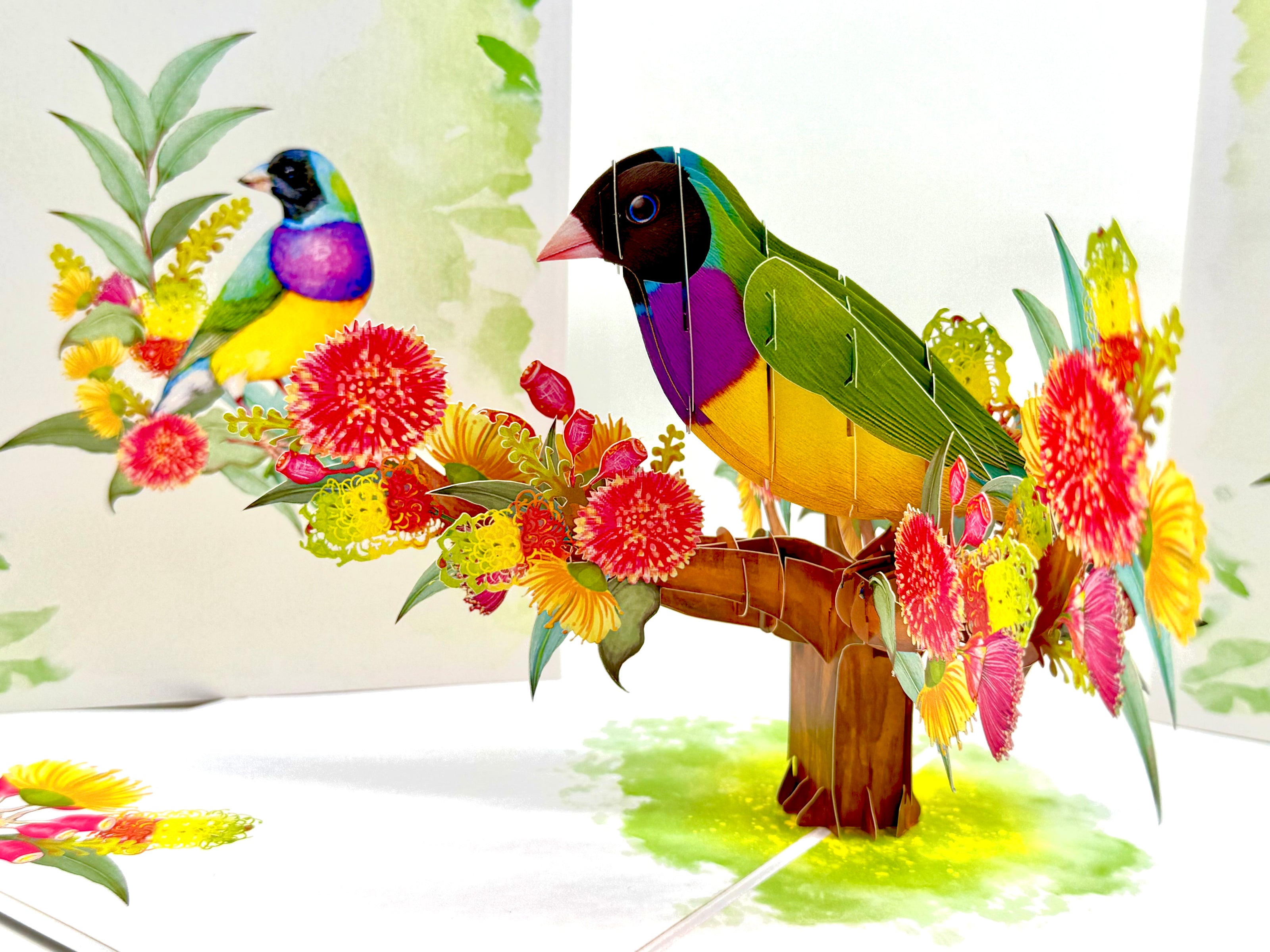 Black-Headed Gouldian Finch Origami Pop Cards 3D Pop Up Greeting Card Celebrate Happy Birthday Thank You Handmade Best Wishes Gift Thinking of You Blank Card for Any Occasion Happy Mother's Day Happy Father's Day Australiana Nature and Birds