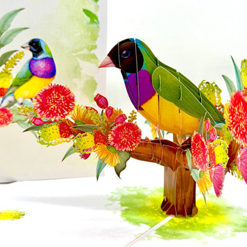 Black-Headed Gouldian Finch Origami Pop Cards 3D Pop Up Greeting Card Celebrate Happy Birthday Thank You Handmade Best Wishes Gift Thinking of You Blank Card for Any Occasion Happy Mother's Day Happy Father's Day Australiana Nature and Birds