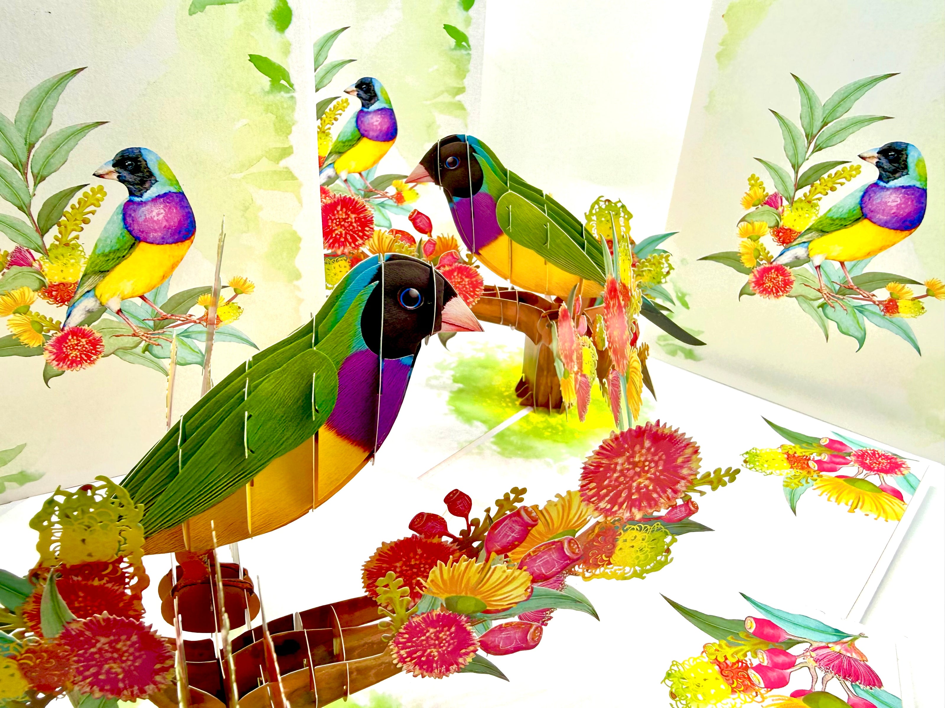 Black-Headed Gouldian Finch Origami Pop Cards 3D Pop Up Greeting Card Celebrate Happy Birthday Thank You Handmade Best Wishes Gift Thinking of You Blank Card for Any Occasion Happy Mother's Day Happy Father's Day Australiana Nature and Birds