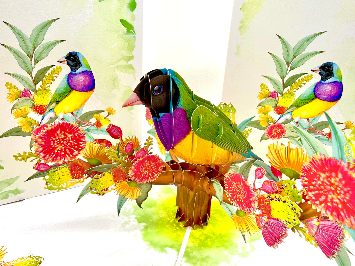 Black-Headed Gouldian Finch Origami Pop Cards 3D Pop Up Greeting Card Celebrate Happy Birthday Thank You Handmade Best Wishes Gift Thinking of You Blank Card for Any Occasion Happy Mother's Day Happy Father's Day Australiana Nature and Birds