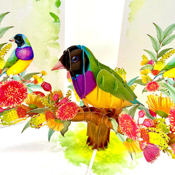 Black-Headed Gouldian Finch Origami Pop Cards 3D Pop Up Greeting Card Celebrate Happy Birthday Thank You Handmade Best Wishes Gift Thinking of You Blank Card for Any Occasion Happy Mother's Day Happy Father's Day Australiana Nature and Birds