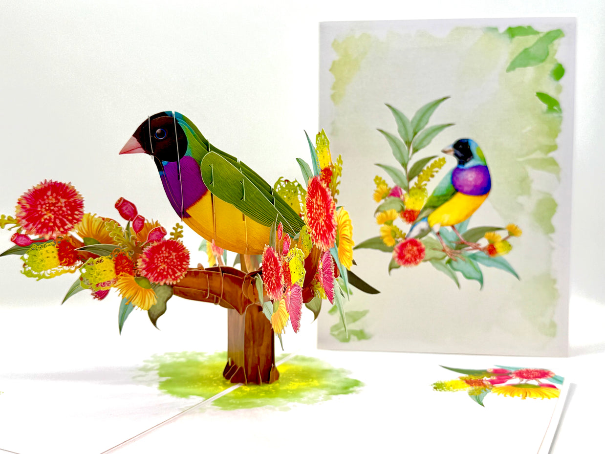 Black-Headed Gouldian Finch Origami Pop Cards 3D Pop Up Greeting Card Celebrate Happy Birthday Thank You Handmade Best Wishes Gift Thinking of You Blank Card for Any Occasion Happy Mother's Day Happy Father's Day Australiana Nature and Birds