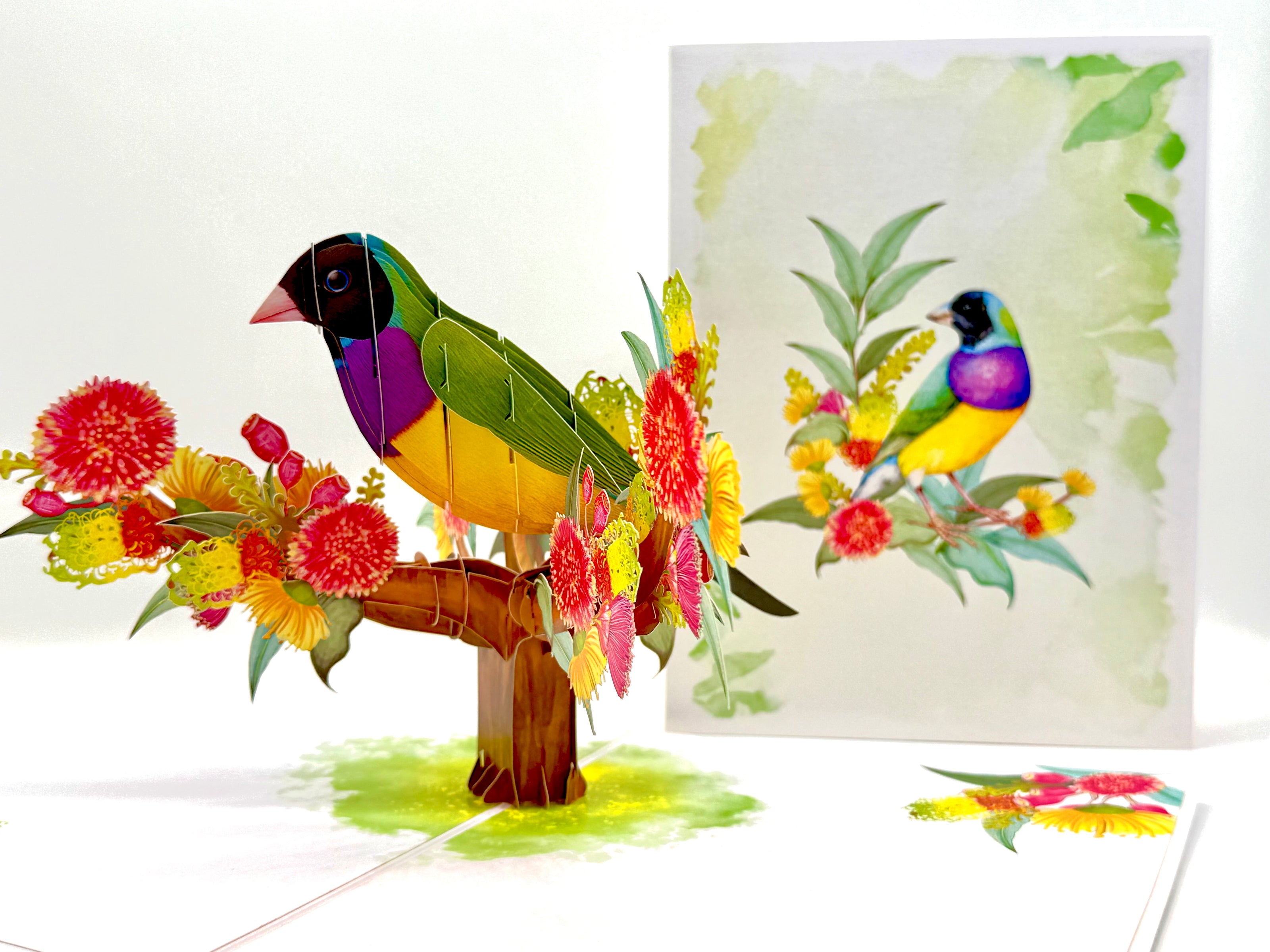 Black-Headed Gouldian Finch Origami Pop Cards 3D Pop Up Greeting Card Celebrate Happy Birthday Thank You Handmade Best Wishes Gift Thinking of You Blank Card for Any Occasion Happy Mother's Day Happy Father's Day Australiana Nature and Birds