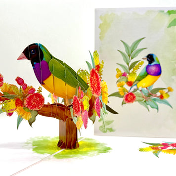 Black-Headed Gouldian Finch Origami Pop Cards 3D Pop Up Greeting Card Celebrate Happy Birthday Thank You Handmade Best Wishes Gift Thinking of You Blank Card for Any Occasion Happy Mother's Day Happy Father's Day Australiana Nature and Birds