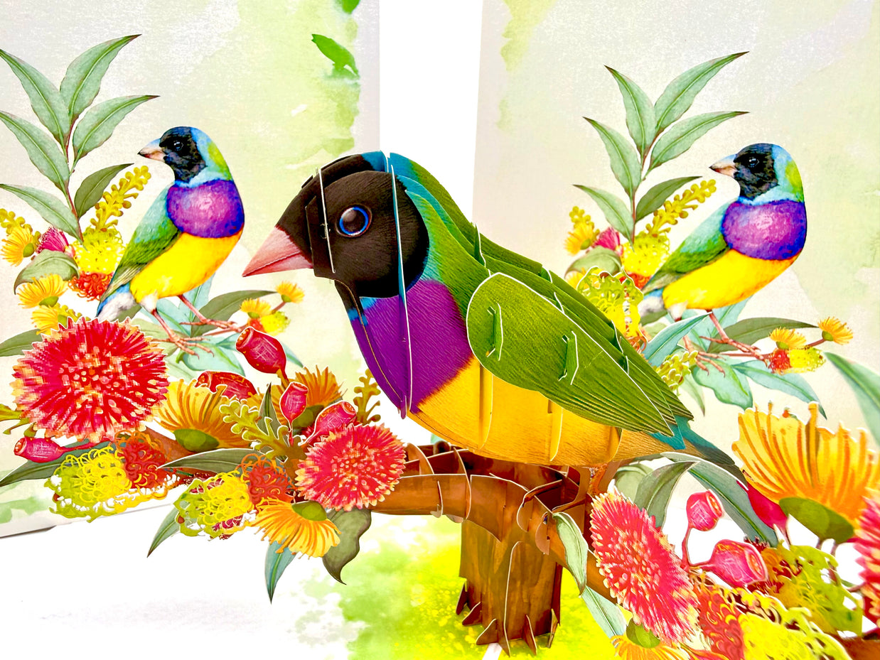 Black-Headed Gouldian Finch Origami Pop Cards 3D Pop Up Greeting Card Celebrate Happy Birthday Thank You Handmade Best Wishes Gift Thinking of You Blank Card for Any Occasion Happy Mother's Day Happy Father's Day Australiana Nature and Birds