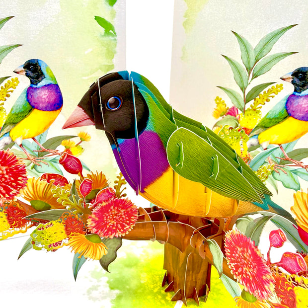 Black-Headed Gouldian Finch Origami Pop Cards 3D Pop Up Greeting Card Celebrate Happy Birthday Thank You Handmade Best Wishes Gift Thinking of You Blank Card for Any Occasion Happy Mother's Day Happy Father's Day Australiana Nature and Birds