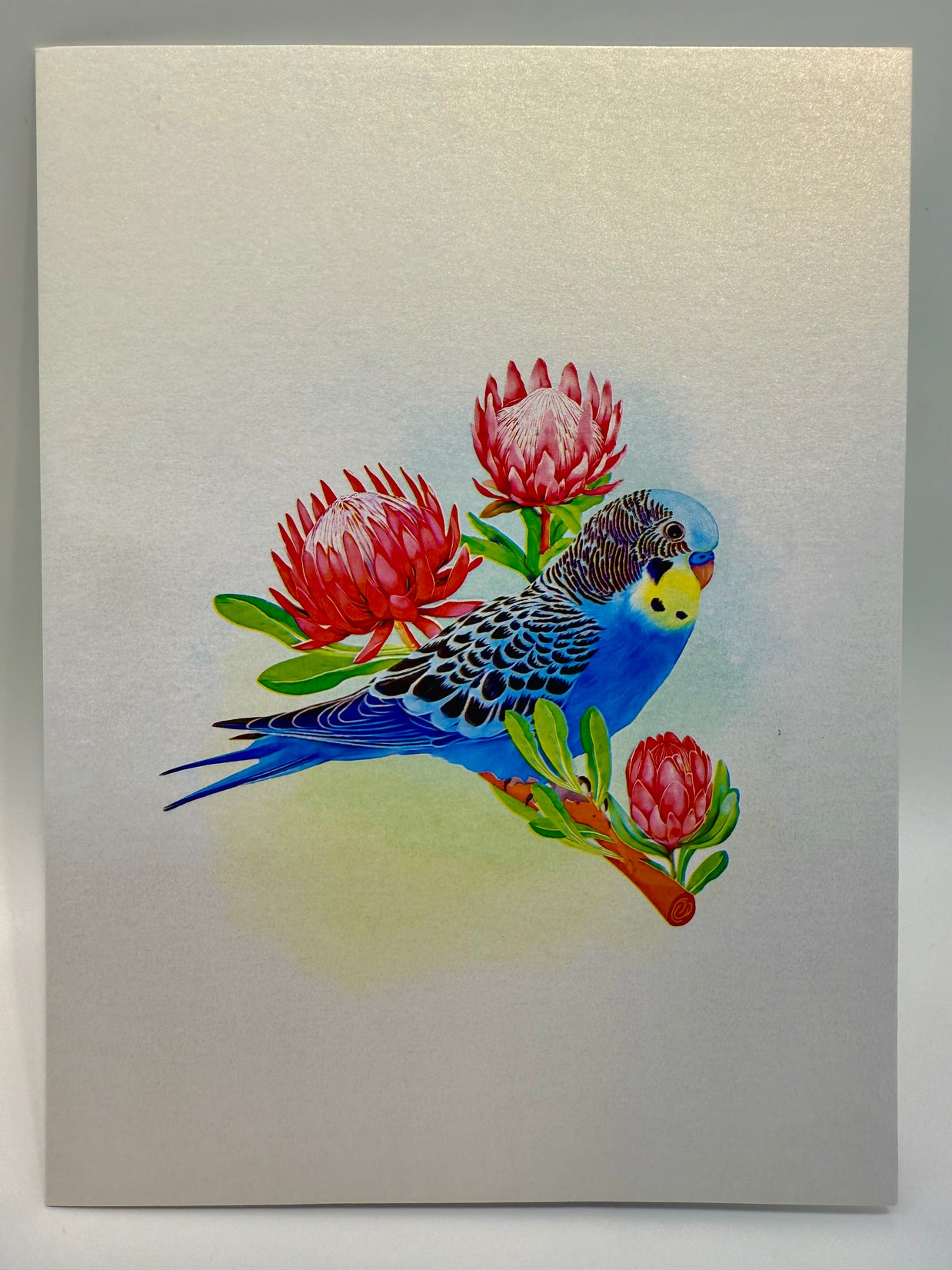Blue & Yellow Budgie with Pink Protea Flowers Origami Pop Cards 3D Pop Up Greeting Card Celebrate Happy Birthday Thank You Handmade Best Wishes Gift Thinking of You Blank Card for Any Occasion Happy Mother's Day Happy Father's Day Australiana Nature