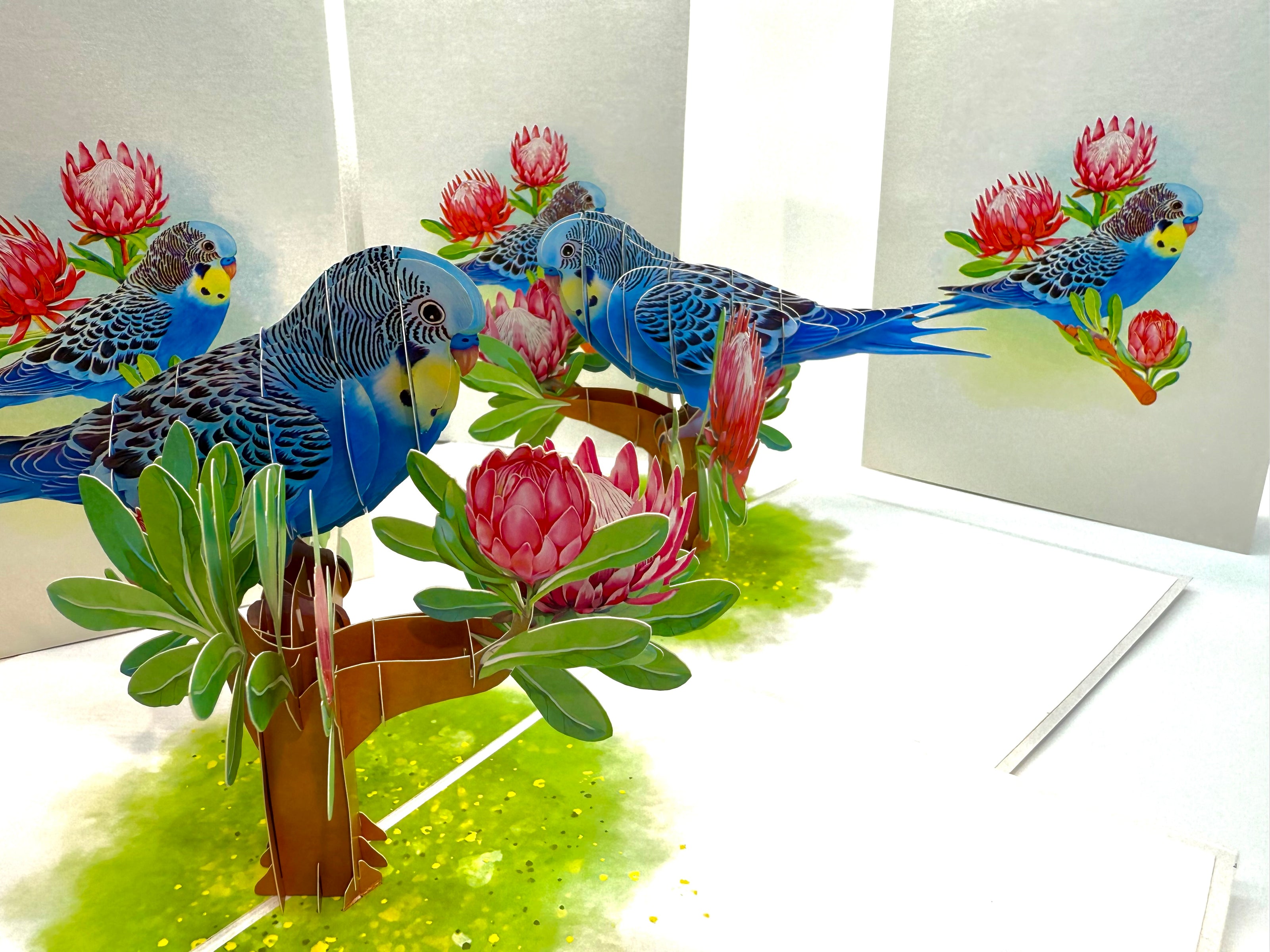 Blue & Yellow Budgie with Pink Protea Flowers Origami Pop Cards 3D Pop Up Greeting Card Celebrate Happy Birthday Thank You Handmade Best Wishes Gift Thinking of You Blank Card for Any Occasion Happy Mother's Day Happy Father's Day Australiana Nature