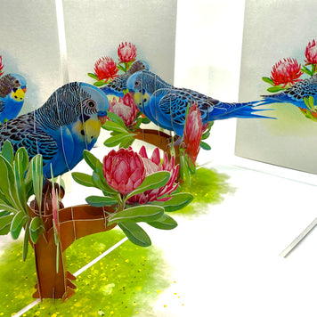 Blue & Yellow Budgie with Pink Protea Flowers Origami Pop Cards 3D Pop Up Greeting Card Celebrate Happy Birthday Thank You Handmade Best Wishes Gift Thinking of You Blank Card for Any Occasion Happy Mother's Day Happy Father's Day Australiana Nature