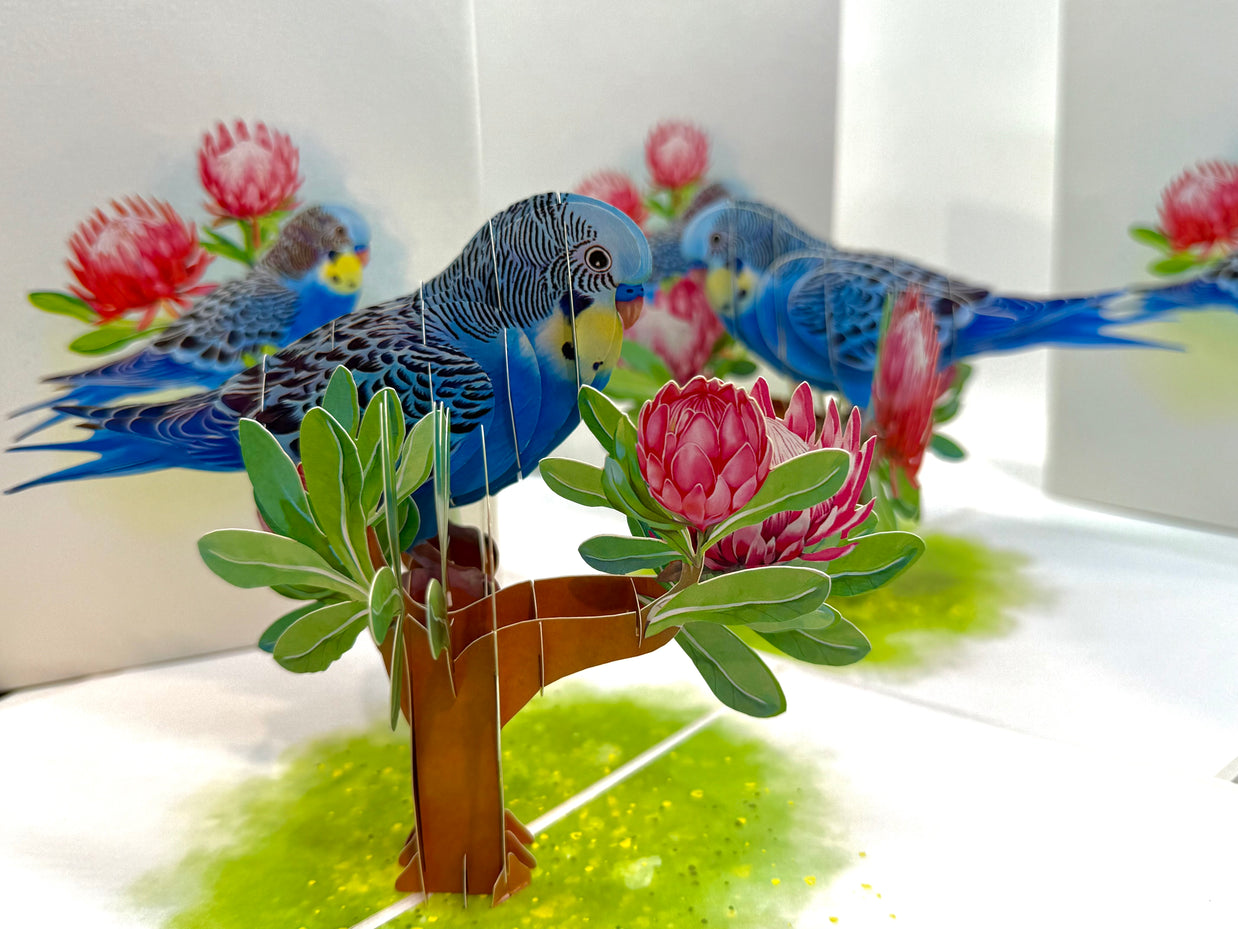 Blue & Yellow Budgie with Pink Protea Flowers Origami Pop Cards 3D Pop Up Greeting Card Celebrate Happy Birthday Thank You Handmade Best Wishes Gift Thinking of You Blank Card for Any Occasion Happy Mother's Day Happy Father's Day Australiana Nature