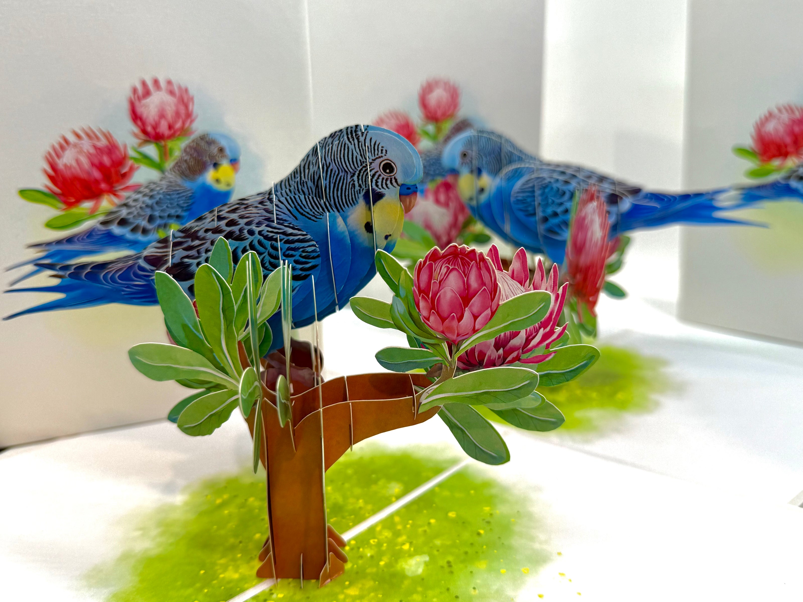 Blue & Yellow Budgie with Pink Protea Flowers Origami Pop Cards 3D Pop Up Greeting Card Celebrate Happy Birthday Thank You Handmade Best Wishes Gift Thinking of You Blank Card for Any Occasion Happy Mother's Day Happy Father's Day Australiana Nature