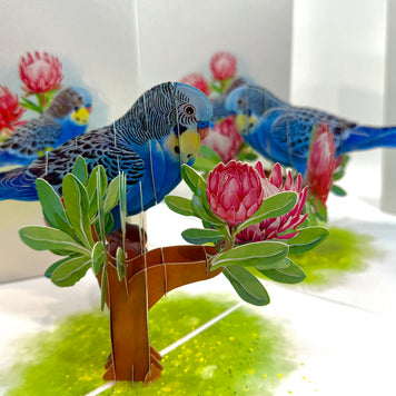 Blue & Yellow Budgie with Pink Protea Flowers Origami Pop Cards 3D Pop Up Greeting Card Celebrate Happy Birthday Thank You Handmade Best Wishes Gift Thinking of You Blank Card for Any Occasion Happy Mother's Day Happy Father's Day Australiana Nature