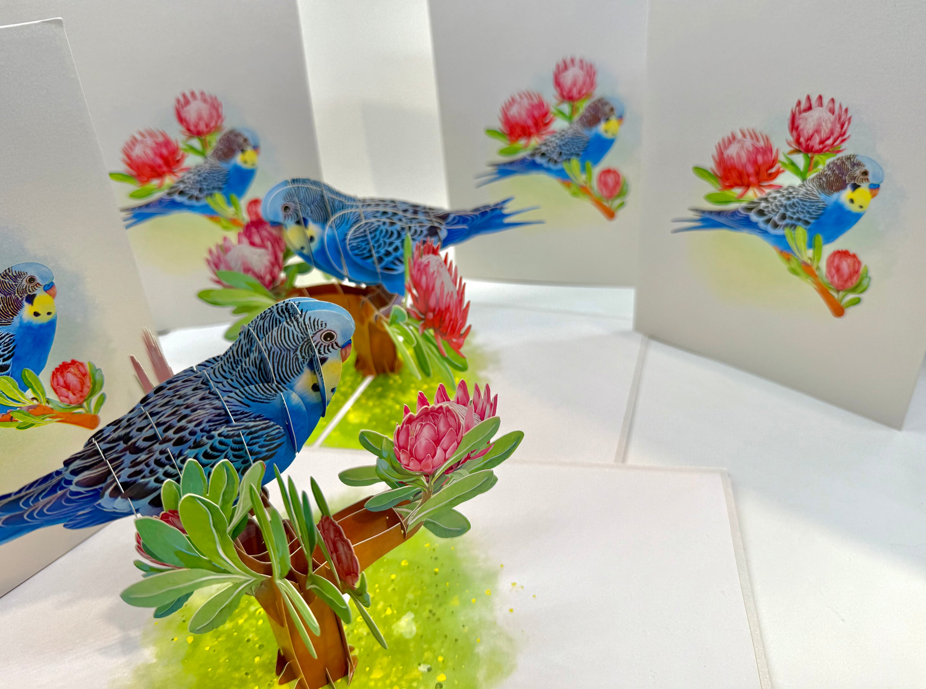 Blue & Yellow Budgie with Pink Protea Flowers Origami Pop Cards 3D Pop Up Greeting Card Celebrate Happy Birthday Thank You Handmade Best Wishes Gift Thinking of You Blank Card for Any Occasion Happy Mother's Day Happy Father's Day Australiana Nature