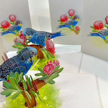 Blue & Yellow Budgie with Pink Protea Flowers Origami Pop Cards 3D Pop Up Greeting Card Celebrate Happy Birthday Thank You Handmade Best Wishes Gift Thinking of You Blank Card for Any Occasion Happy Mother's Day Happy Father's Day Australiana Nature