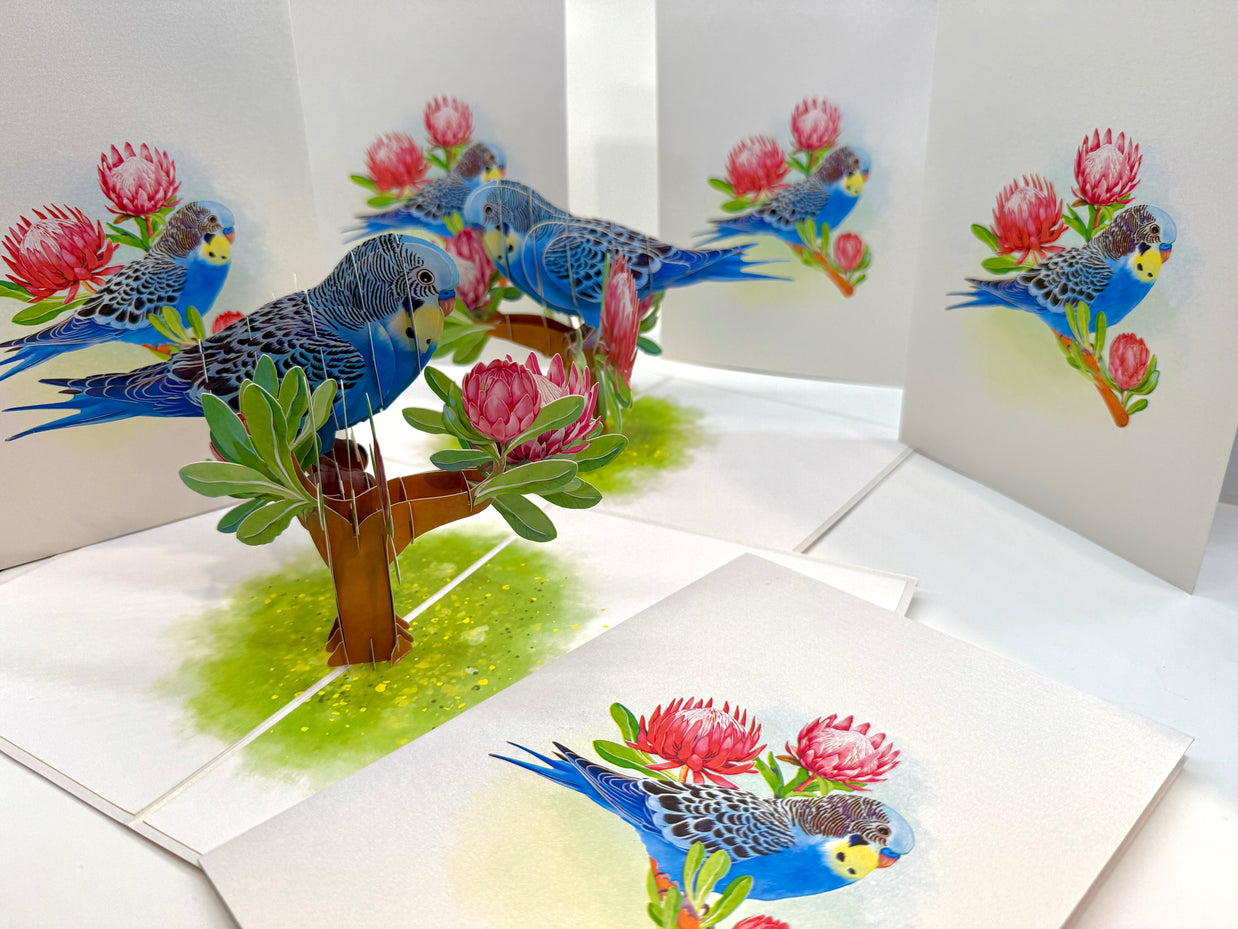 Blue & Yellow Budgie with Pink Protea Flowers Origami Pop Cards 3D Pop Up Greeting Card Celebrate Happy Birthday Thank You Handmade Best Wishes Gift Thinking of You Blank Card for Any Occasion Happy Mother's Day Happy Father's Day Australiana Nature