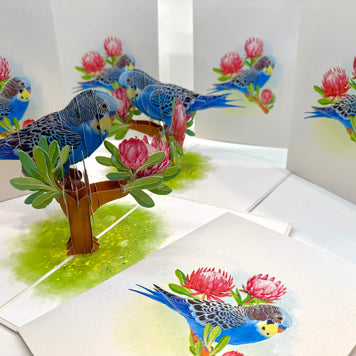 Blue & Yellow Budgie with Pink Protea Flowers Origami Pop Cards 3D Pop Up Greeting Card Celebrate Happy Birthday Thank You Handmade Best Wishes Gift Thinking of You Blank Card for Any Occasion Happy Mother's Day Happy Father's Day Australiana Nature