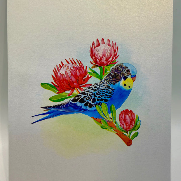 Blue & Yellow Budgie with Pink Protea Flowers Origami Pop Cards 3D Pop Up Greeting Card Celebrate Happy Birthday Thank You Handmade Best Wishes Gift Thinking of You Blank Card for Any Occasion Happy Mother's Day Happy Father's Day Australiana Nature
