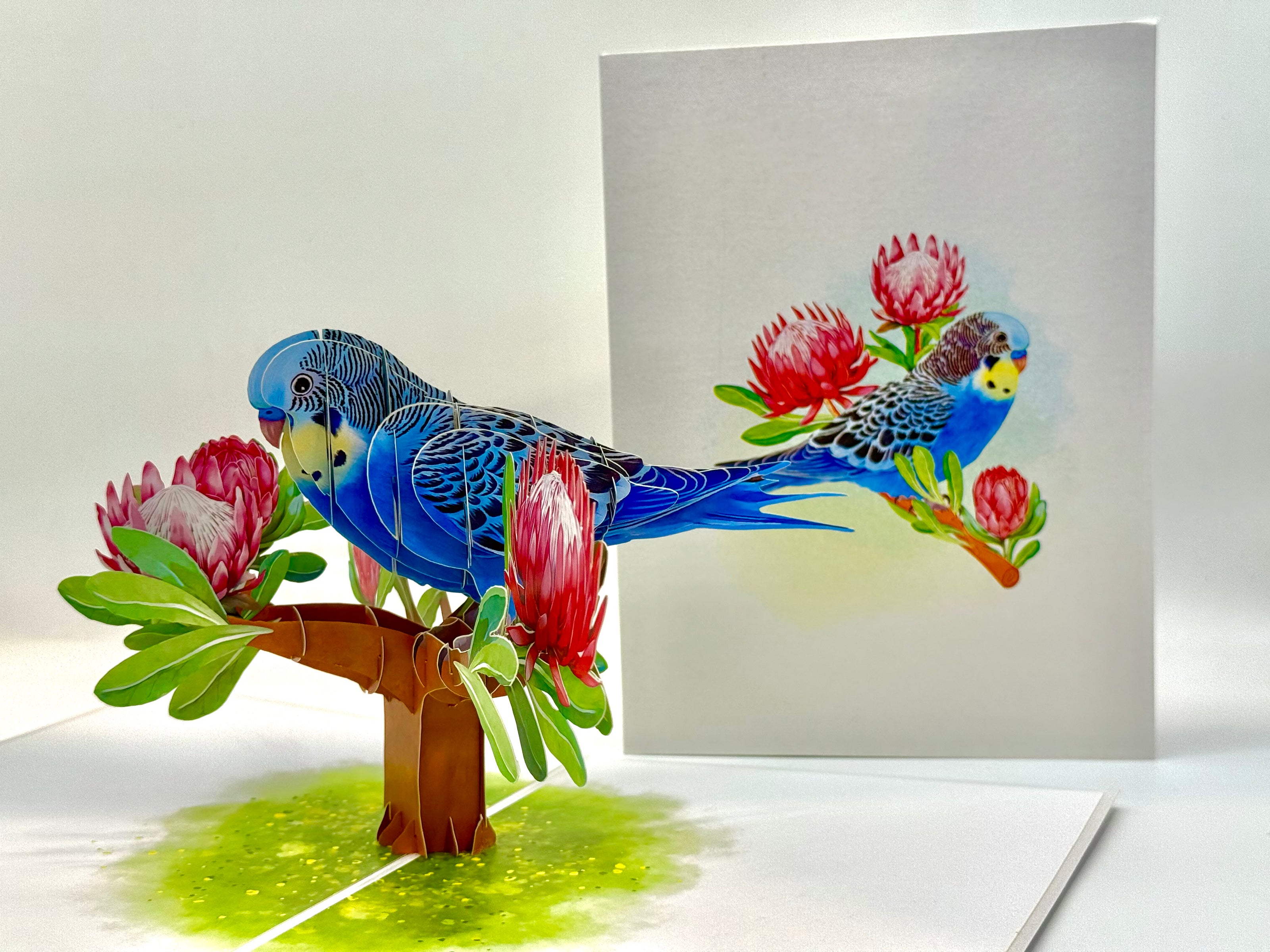 Blue & Yellow Budgie with Pink Protea Flowers Origami Pop Cards 3D Pop Up Greeting Card Celebrate Happy Birthday Thank You Handmade Best Wishes Gift Thinking of You Blank Card for Any Occasion Happy Mother's Day Happy Father's Day Australiana Nature