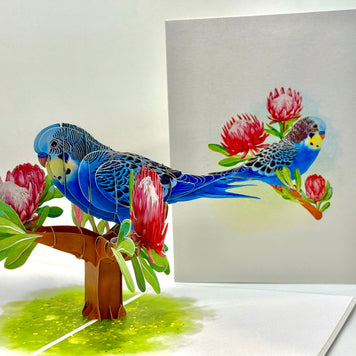 Blue & Yellow Budgie with Pink Protea Flowers Origami Pop Cards 3D Pop Up Greeting Card Celebrate Happy Birthday Thank You Handmade Best Wishes Gift Thinking of You Blank Card for Any Occasion Happy Mother's Day Happy Father's Day Australiana Nature