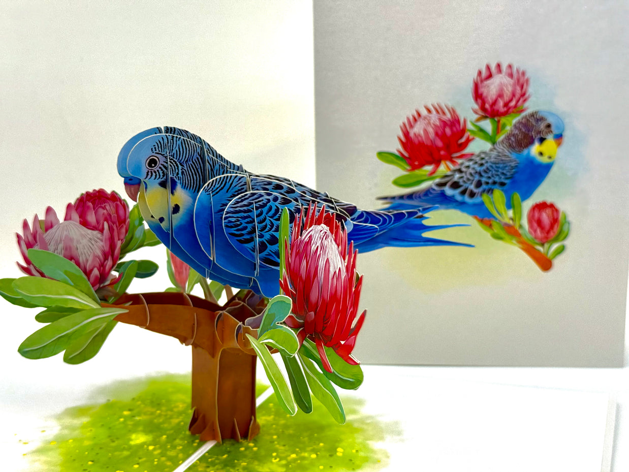 Blue & Yellow Budgie with Pink Protea Flowers Origami Pop Cards 3D Pop Up Greeting Card Celebrate Happy Birthday Thank You Handmade Best Wishes Gift Thinking of You Blank Card for Any Occasion Happy Mother's Day Happy Father's Day Australiana Nature