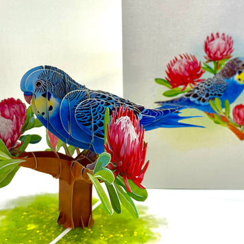Blue & Yellow Budgie with Pink Protea Flowers Origami Pop Cards 3D Pop Up Greeting Card Celebrate Happy Birthday Thank You Handmade Best Wishes Gift Thinking of You Blank Card for Any Occasion Happy Mother's Day Happy Father's Day Australiana Nature