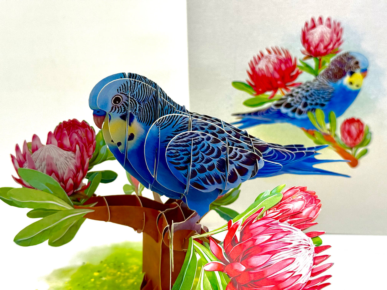 Blue & Yellow Budgie with Pink Protea Flowers Origami Pop Cards 3D Pop Up Greeting Card Celebrate Happy Birthday Thank You Handmade Best Wishes Gift Thinking of You Blank Card for Any Occasion Happy Mother's Day Happy Father's Day Australiana Nature