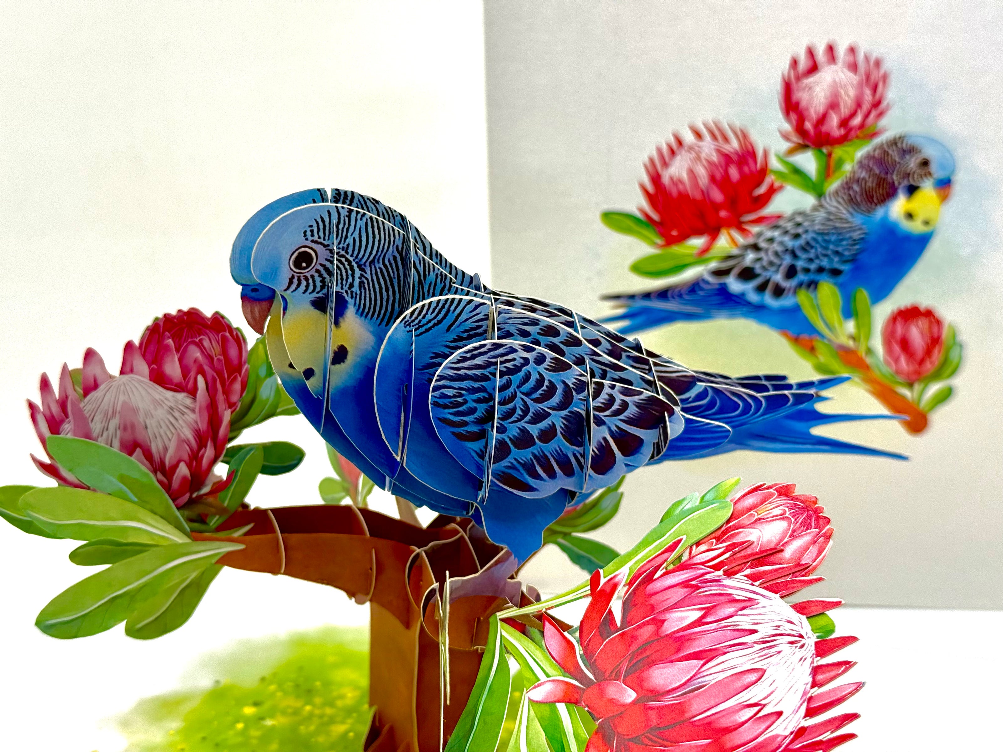 Blue & Yellow Budgie with Pink Protea Flowers Origami Pop Cards 3D Pop Up Greeting Card Celebrate Happy Birthday Thank You Handmade Best Wishes Gift Thinking of You Blank Card for Any Occasion Happy Mother's Day Happy Father's Day Australiana Nature