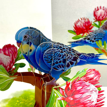 Blue & Yellow Budgie with Pink Protea Flowers Origami Pop Cards 3D Pop Up Greeting Card Celebrate Happy Birthday Thank You Handmade Best Wishes Gift Thinking of You Blank Card for Any Occasion Happy Mother's Day Happy Father's Day Australiana Nature