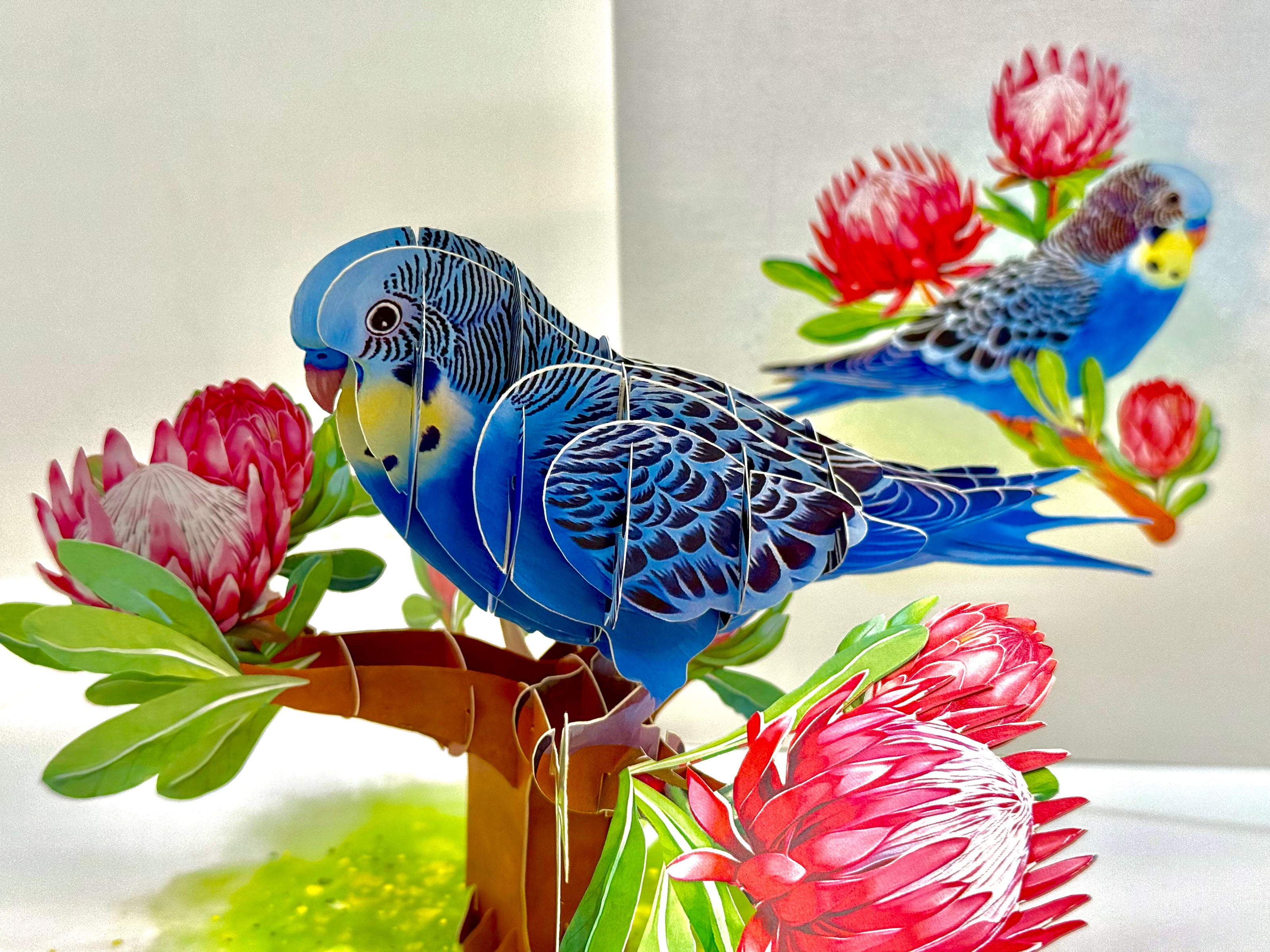 Blue & Yellow Budgie with Pink Protea Flowers Origami Pop Cards 3D Pop Up Greeting Card Celebrate Happy Birthday Thank You Handmade Best Wishes Gift Thinking of You Blank Card for Any Occasion Happy Mother's Day Happy Father's Day Australiana Nature