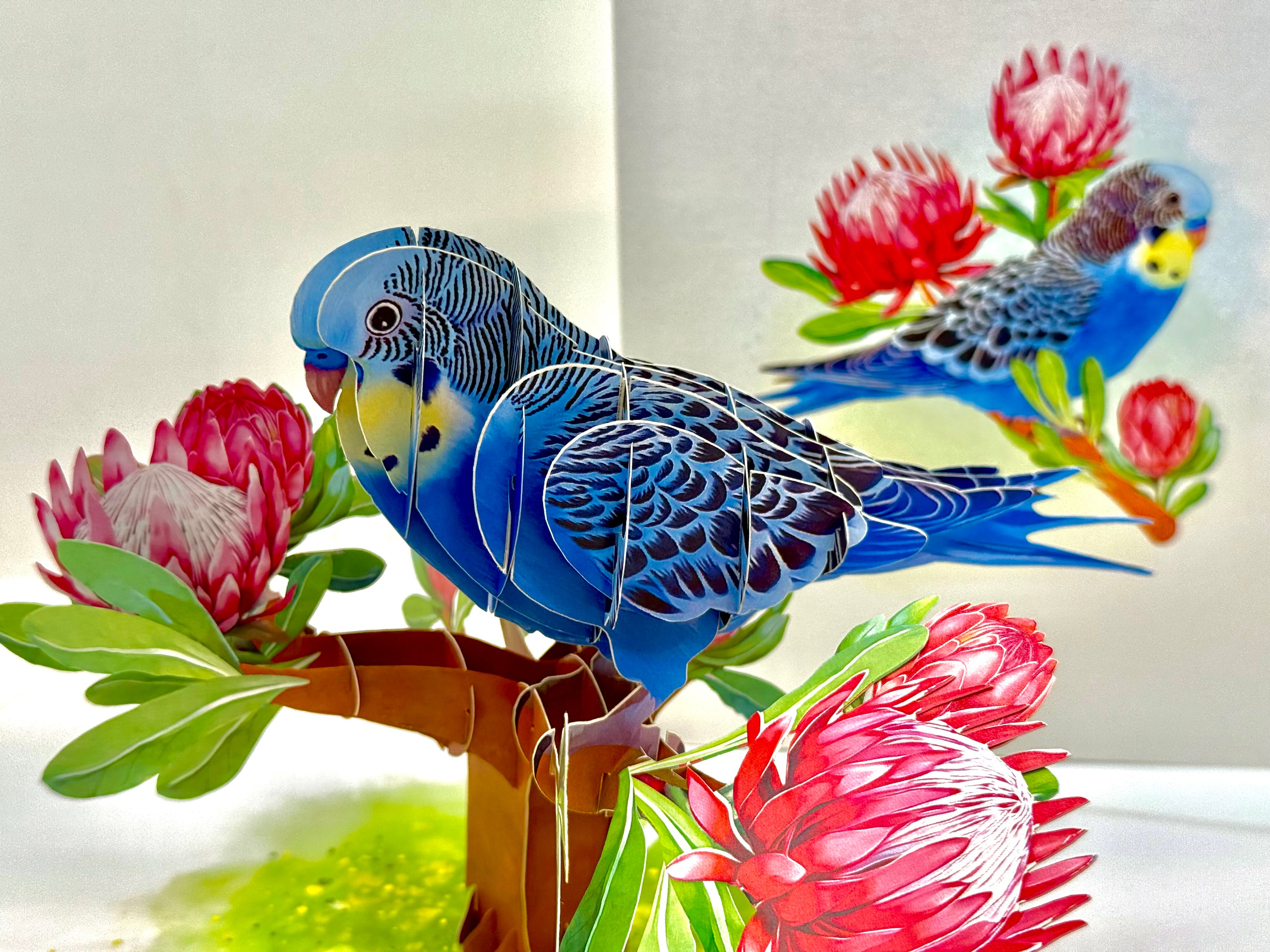 Blue & Yellow Budgie with Pink Protea Flowers Origami Pop Cards 3D Pop Up Greeting Card Celebrate Happy Birthday Thank You Handmade Best Wishes Gift Thinking of You Blank Card for Any Occasion Happy Mother's Day Happy Father's Day Australiana Nature