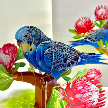 Blue & Yellow Budgie with Pink Protea Flowers Origami Pop Cards 3D Pop Up Greeting Card Celebrate Happy Birthday Thank You Handmade Best Wishes Gift Thinking of You Blank Card for Any Occasion Happy Mother's Day Happy Father's Day Australiana Nature