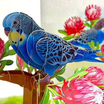 Blue & Yellow Budgie with Pink Protea Flowers Origami Pop Cards 3D Pop Up Greeting Card Celebrate Happy Birthday Thank You Handmade Best Wishes Gift Thinking of You Blank Card for Any Occasion Happy Mother's Day Happy Father's Day Australiana Nature