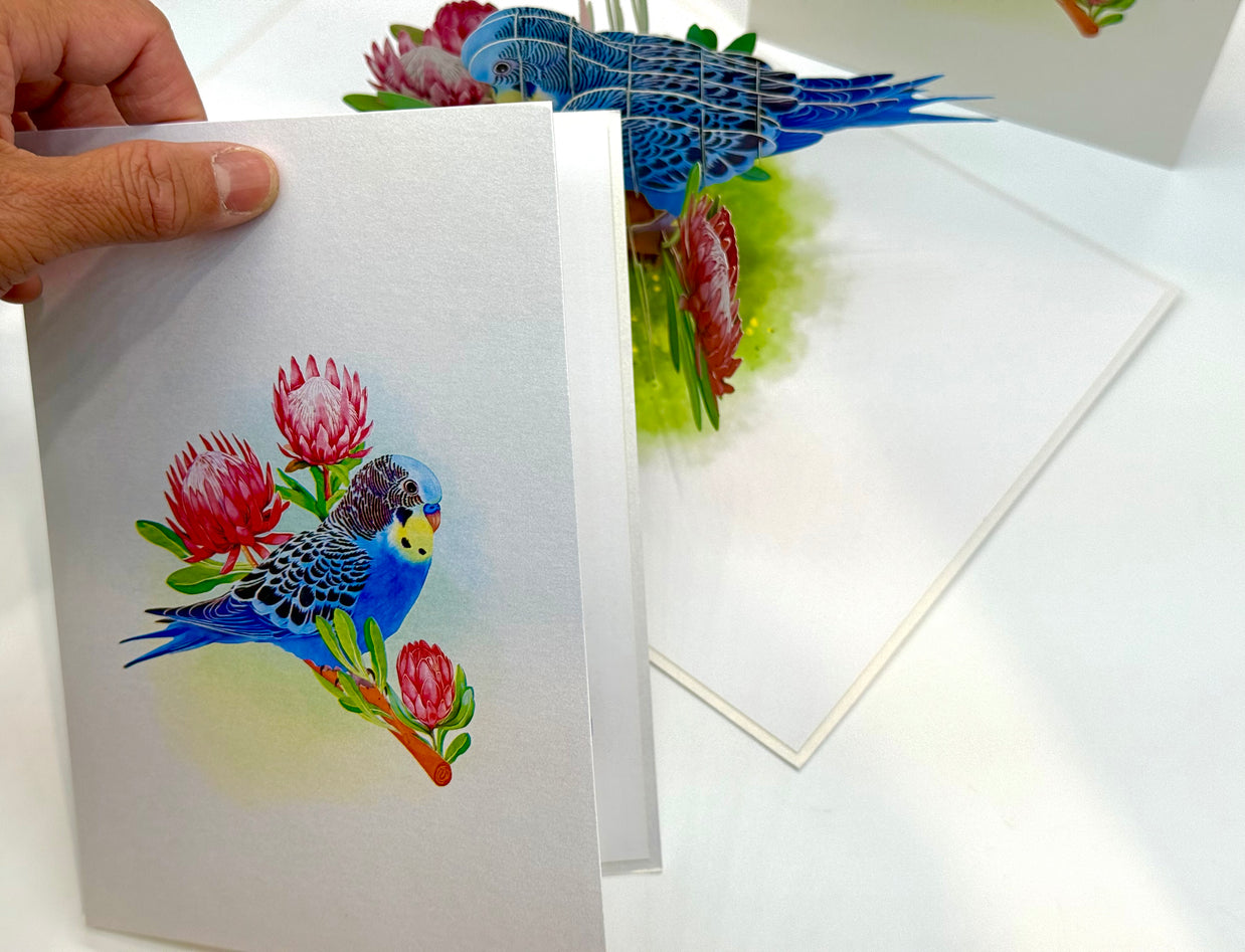 Blue & Yellow Budgie with Pink Protea Flowers Origami Pop Cards 3D Pop Up Greeting Card Celebrate Happy Birthday Thank You Handmade Best Wishes Gift Thinking of You Blank Card for Any Occasion Happy Mother's Day Happy Father's Day Australiana Nature