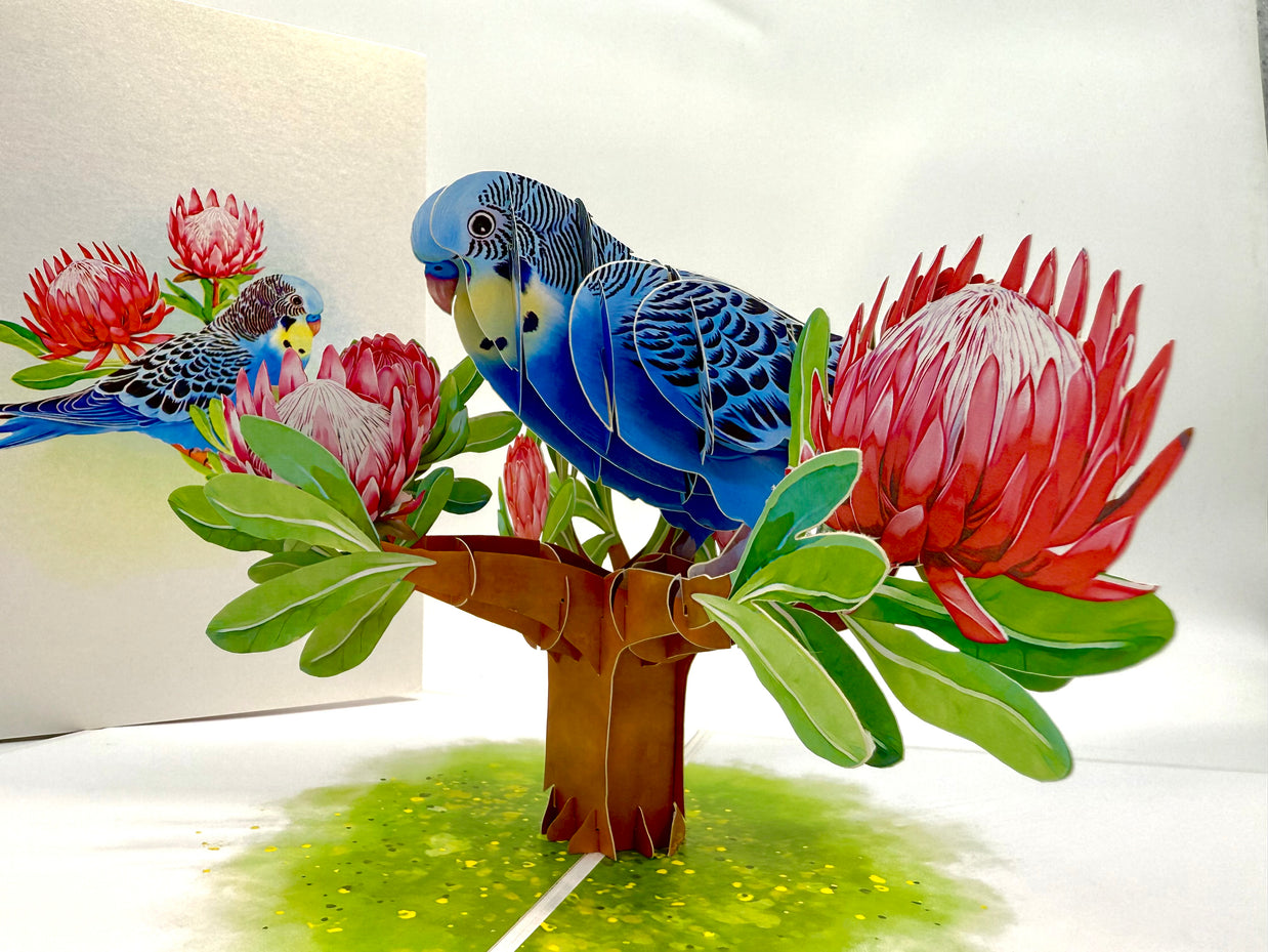 Blue & Yellow Budgie with Pink Protea Flowers Origami Pop Cards 3D Pop Up Greeting Card Celebrate Happy Birthday Thank You Handmade Best Wishes Gift Thinking of You Blank Card for Any Occasion Happy Mother's Day Happy Father's Day Australiana Nature