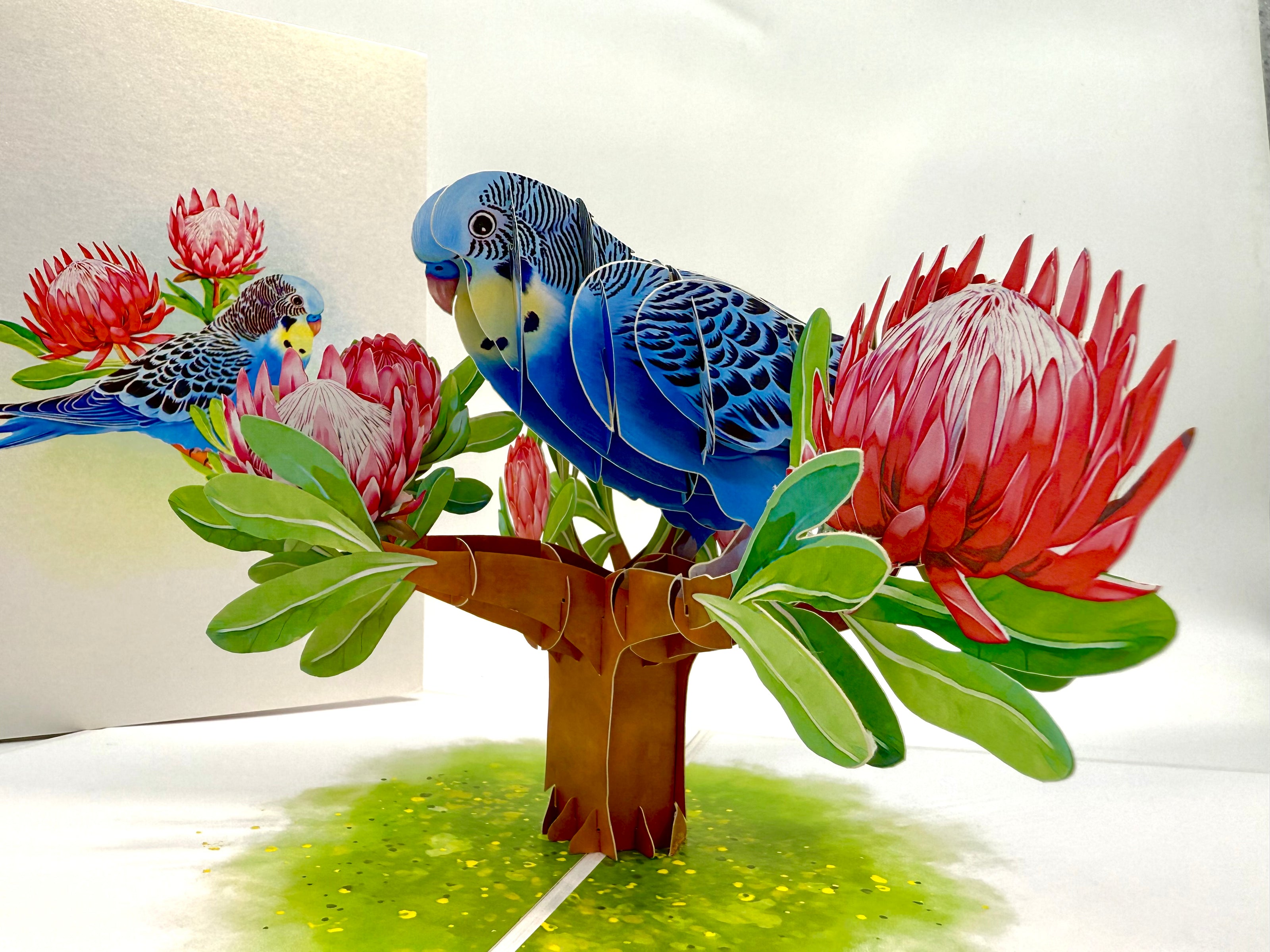 Blue & Yellow Budgie with Pink Protea Flowers Origami Pop Cards 3D Pop Up Greeting Card Celebrate Happy Birthday Thank You Handmade Best Wishes Gift Thinking of You Blank Card for Any Occasion Happy Mother's Day Happy Father's Day Australiana Nature
