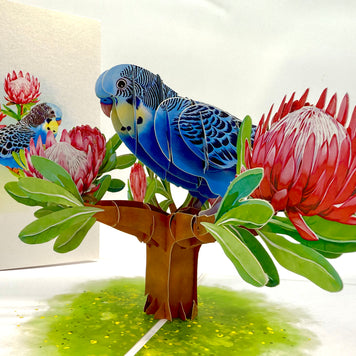 Blue & Yellow Budgie with Pink Protea Flowers Origami Pop Cards 3D Pop Up Greeting Card Celebrate Happy Birthday Thank You Handmade Best Wishes Gift Thinking of You Blank Card for Any Occasion Happy Mother's Day Happy Father's Day Australiana Nature