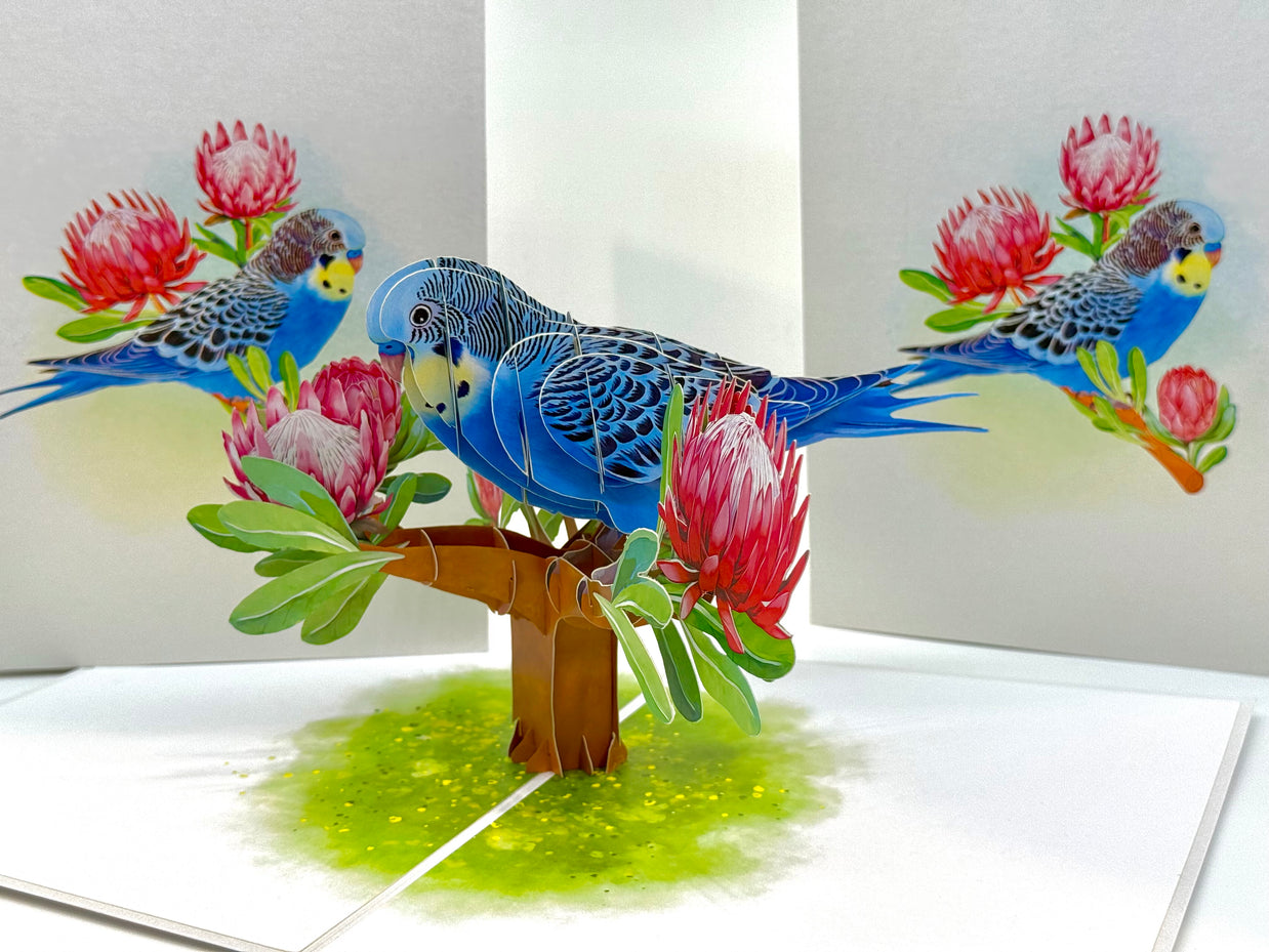 Blue & Yellow Budgie with Pink Protea Flowers Origami Pop Cards 3D Pop Up Greeting Card Celebrate Happy Birthday Thank You Handmade Best Wishes Gift Thinking of You Blank Card for Any Occasion Happy Mother's Day Happy Father's Day Australiana Nature