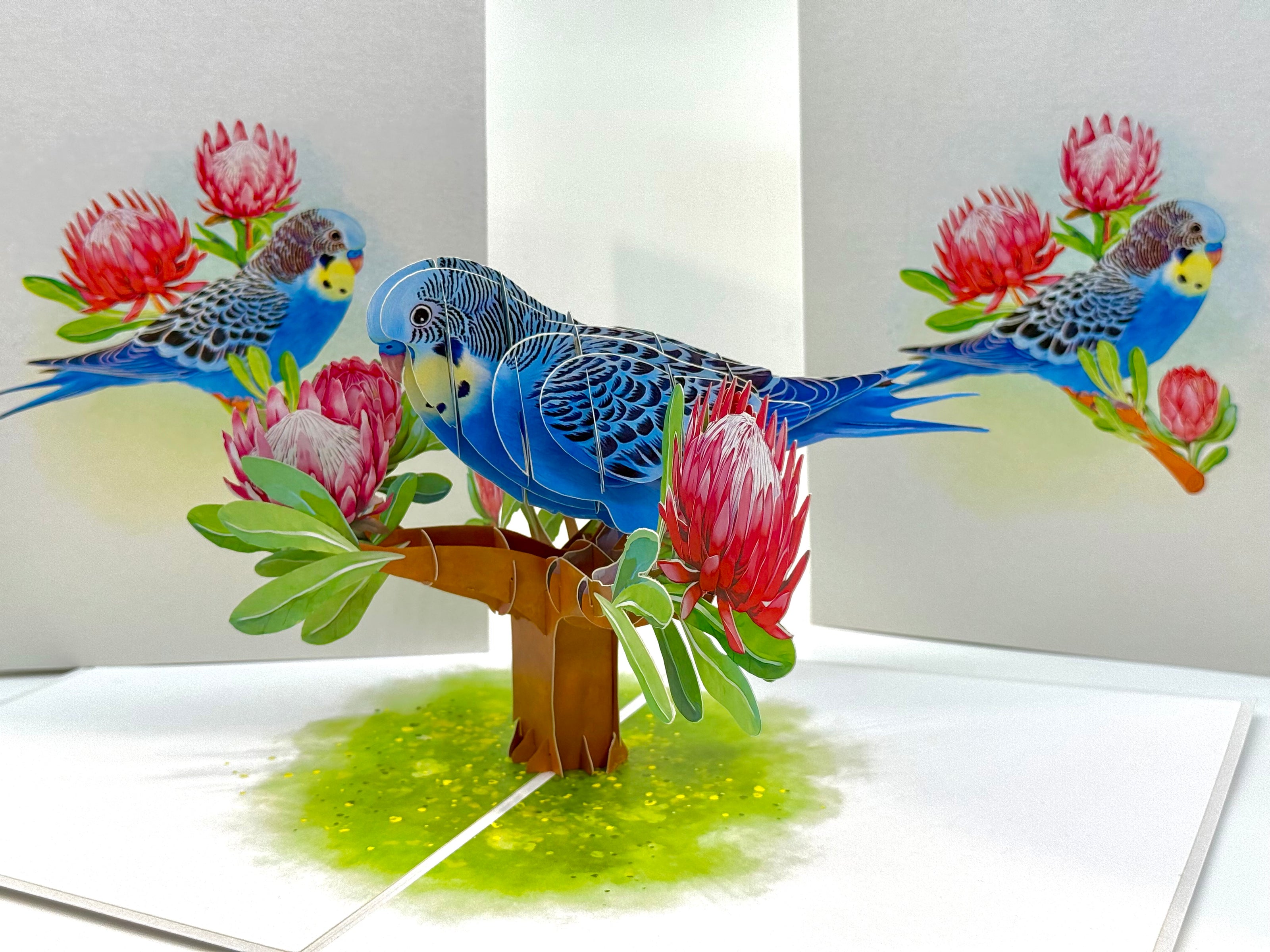 Blue & Yellow Budgie with Pink Protea Flowers Origami Pop Cards 3D Pop Up Greeting Card Celebrate Happy Birthday Thank You Handmade Best Wishes Gift Thinking of You Blank Card for Any Occasion Happy Mother's Day Happy Father's Day Australiana Nature